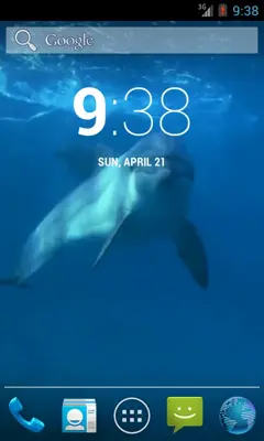 Amazing Dolphins HD android App screenshot 1